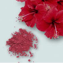 DRIED HIBISCUS FLOWER POWDER