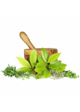Ayurvedic Products Ayurvedic Products