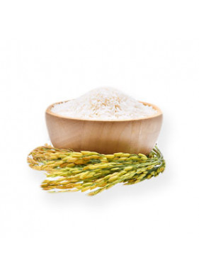 Rice Products Rice Products