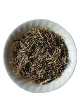 Medicinal Herbs Medicinal Herbs