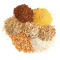 Cereals, millets & pulses