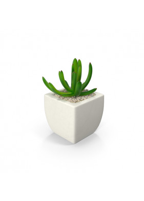 Pots & planters Pots & planters