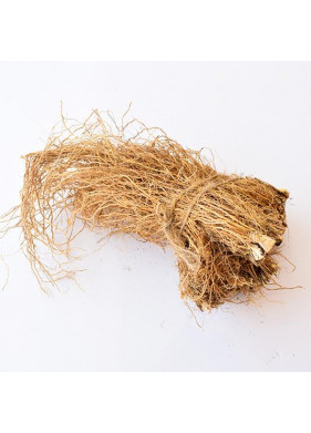 Ramacham / Vetiver Ramacham / Vetiver