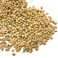 Natureloc Coriander (Dhania) 