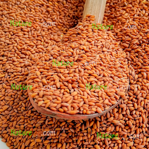 Ashali Garden cress Halim seeds 