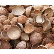 Coconut Shell (Chiratta)