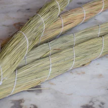 Darbha Grass