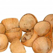 Coconut Shell (Chiratta)