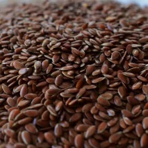 Flax Seeds