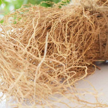 Vetiver Roots (Ramacham)